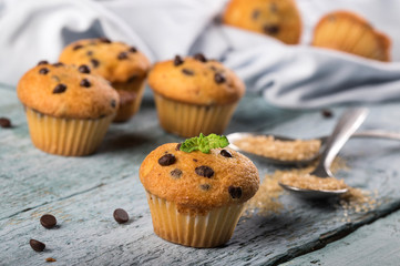 Chocolate vanilla fresh delicious muffins on blue wooden background