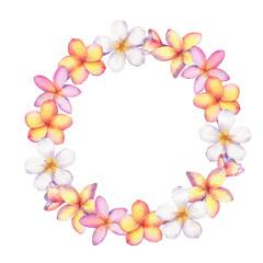 Hand drawn watercolor plumeria(frangipani) wreath isolated on white background. - 306906712