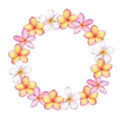 Hand drawn watercolor plumeria(frangipani) wreath isolated on white background. - 306906736