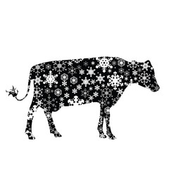 Vector silhouette of snowy cow on white background. Symbol of winter, farm, breeding, garden, animal, season, snow, cold, snowflake, Christmas, frost.