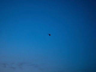hang glider with motor in the evening sky, Russia.