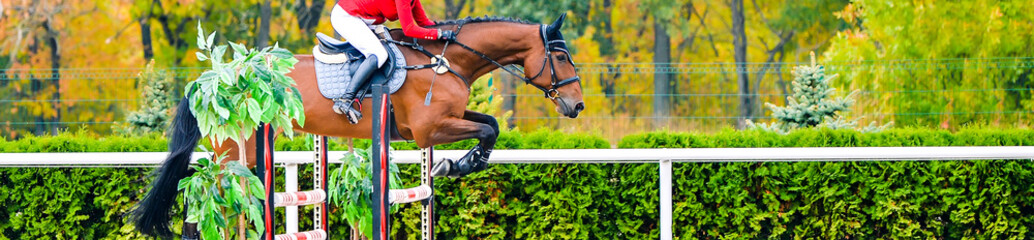 Beautiful girl on sorrel horse in jumping show, equestrian sports. Light-brown horse and girl in red uniform going to jump. Horizontal web header or banner design.