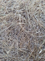 background of straw