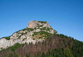 Fototapeta na wymiar Maly Rozsutec, Mala Fatra, Slovakia - top of the rocky mountains. Rocks, trees, forest and clear blue sky