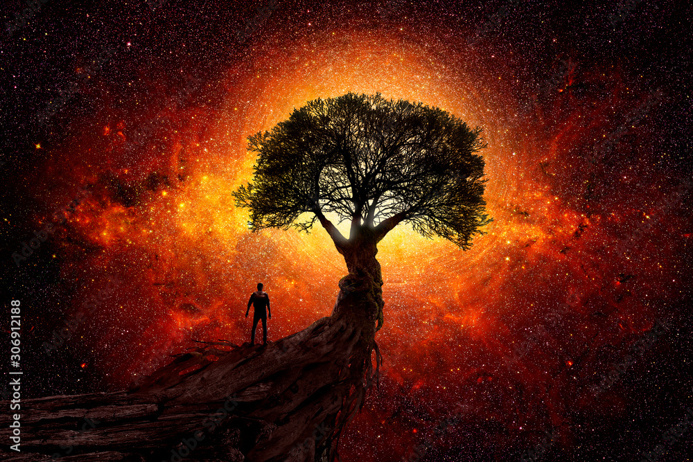 Canvas Prints man under a tree in front of the universe