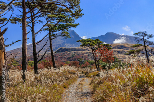 秋のえびの高原 韓国岳と登山道 宮崎県えびの市 Ebino Plateau Autumn Mt Kankokudake And Trail Miyazaki Ebino City Wall Mural M H 秋のえびの高原 韓国岳と登山道 宮崎県えびの市 Ebino Plateau Autumn Mt Kankokudake And Trail Miyazaki Ebino City Wall Mural M H