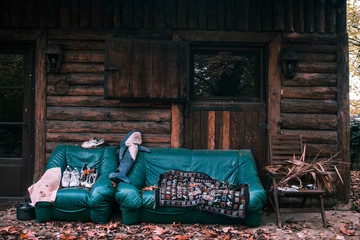 Wooden hut in the woods with coach and armchair in front