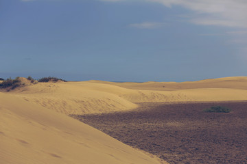 Fototapeta na wymiar Big Sand Dunes in the desert of Canary island
