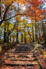 秋のえびの高原　登山道　宮崎県えびの市　Ebino plateau　autumn　Trail　Miyazaki　Ebino city