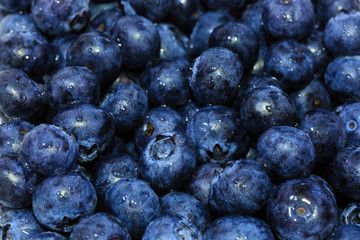 Fresh blueberry background. Texture blueberry berries close up view