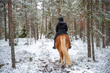 Woman horseback riding in forest in winter