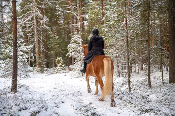 Woman horseback riding in forest in winter