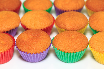 colorful Cupcake bread place on a white background