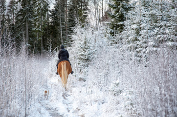 Fototapeta na wymiar Woman horseback riding in forest in winter