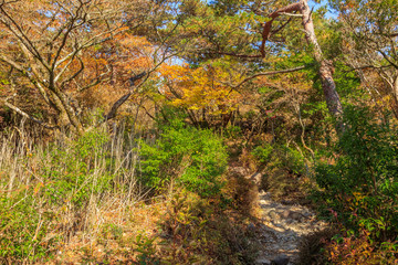 秋のえびの高原　登山道　宮崎県えびの市　Ebino plateau　autumn　Trail　Miyazaki　Ebino city