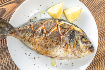 Fried sea bream with fresh thyme