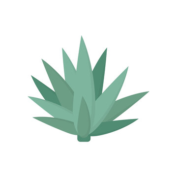 Agave Icon Flat Style Simple Design