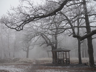 wooden gazebo in the forest late autumn in the fog all the trees and grass are covered with frost