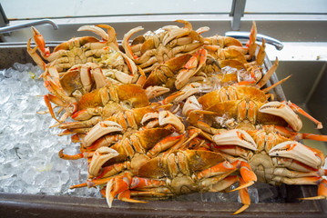 crabs at fisherman's wharf, san francisco, united states of america, usa