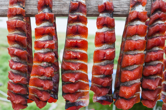 Voyage en Alaska lors de la p&eacute;riode d'&eacute;t&eacute;