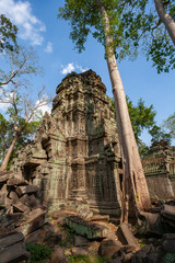 Fototapeta premium Ruins of Ta Prohm - Angkor Wat - Cambodia