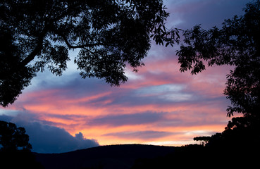 Sunset with trees silhouette at Monte Verde, Brazil