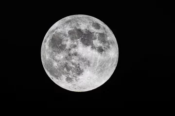 moon in the sky