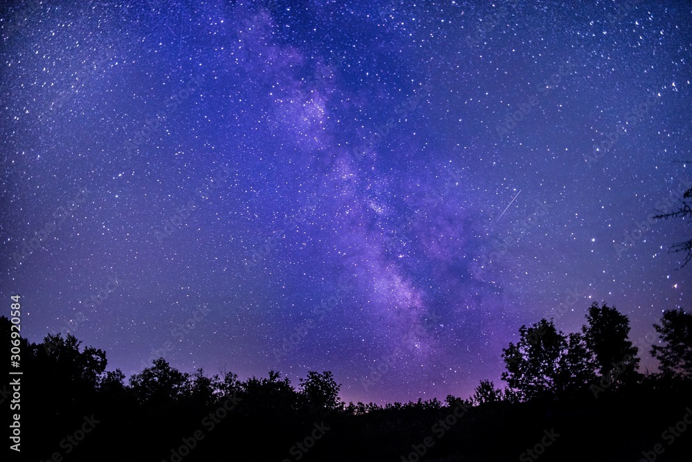 Canvas Prints silhouette of trees with a dark purple and blue sky filled with tars in the background