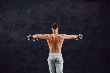 Fototapeta na wymiar Rear view of attractive muscular Caucasian blond shirtless man holding dumbbells while standing in front of dark background.