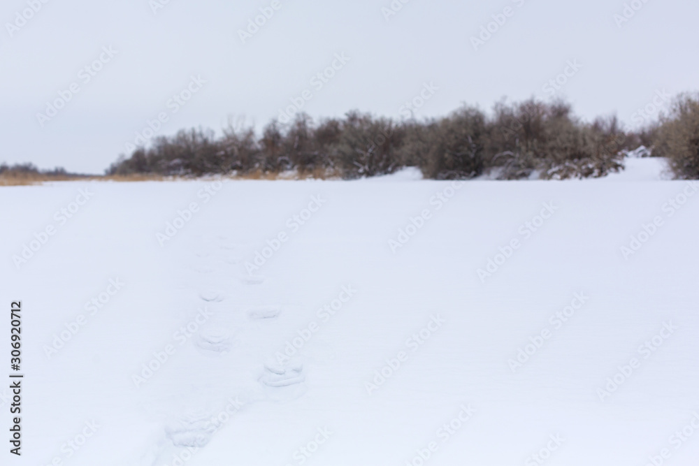 Wall mural a man walks along a frozen lake strewn with snow. winter landscape