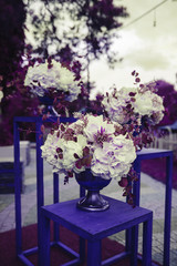 Decor for events from natural flowers, white orchid and wooden elements.