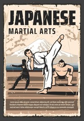 Japanese martial arts and traditional fighting culture vintage retro poster. Vector Japanese sumo wrestler, ninja, kung fu and aikido, judo and taekwondo martial arts combat fighter © Vector Tradition