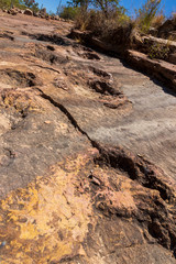 Fossilized dinosaur tracks at Torotoro, Bolivia.