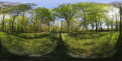 Fototapeta premium Springtime Park 360 Panorama