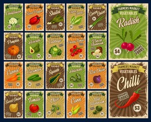 Vegetables, farm market veggies, salads and organic food price list. Vector cauliflower cabbage, green shallot onion and carrot, chili pepper and radish, squash, cucumber and artichokes