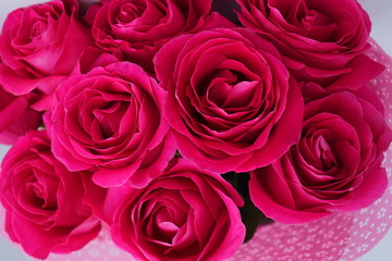 Fototapeta na wymiar Bouquet of large bright pink roses