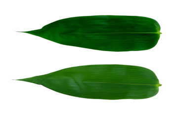 Bamboo leaves green isolated on white the background.