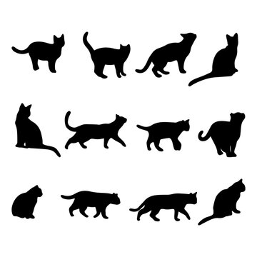 Isolated Cats on the white background. Cats silhouettes. Vector EPS 10.