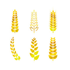 Vector Wheat Golden Icons Set, Simple Signs, Flat Style Design Elements Collection, Isolated.