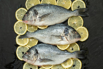 Raw fish hake. Five Raw fish fillet with organic fresh tomatoes on ice on dark background,