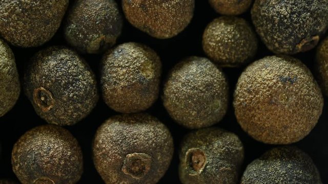 allspice is spinning on table top view