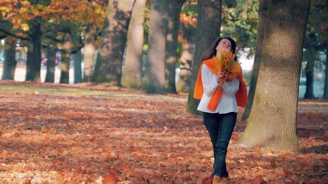 Young woman enjoying autumn leaf fall with bouquet of yellow leaves, leaf fall