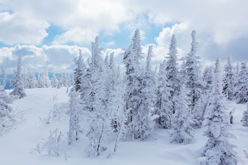 Beautiful winter landscape with snow covered trees and cloudy sky.