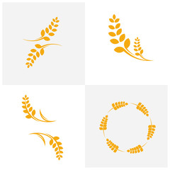 Set of Agriculture Wheat logo template vector, Luxury Wheat Logo Concept, Icon Symbol