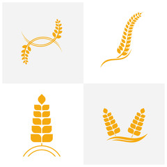 Set of Agriculture Wheat logo template vector, Luxury Wheat Logo Concept, Icon Symbol