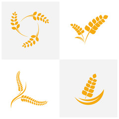 Set of Agriculture Wheat logo template vector, Luxury Wheat Logo Concept, Icon Symbol