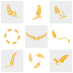 Set of Agriculture Wheat logo template vector, Luxury Wheat Logo Concept, Icon Symbol