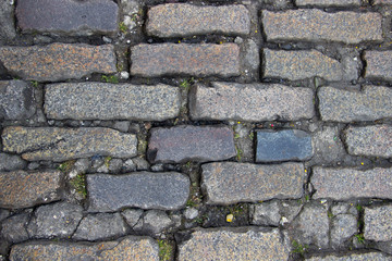 Fototapeta premium An old stoneblock pavement cobbled with rectangular granite blocks with grass between blocks