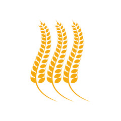 Agriculture Wheat logo template vector, Luxury Wheat Logo Concept, Icon Symbol
