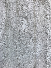 Background of old marble. Italian style. Texture